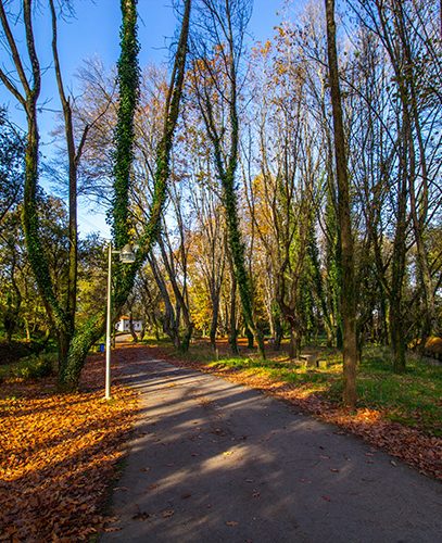 PARQUE DO RIO UI